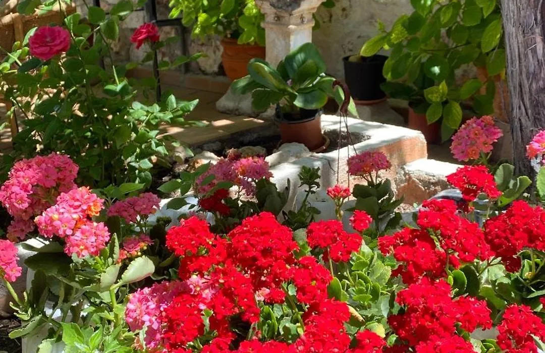 Hostal Chinchon-1